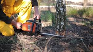 Best Lot and Land Clearing  in Maysville, GA