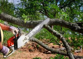 Best Weed Control  in Maysville, GA